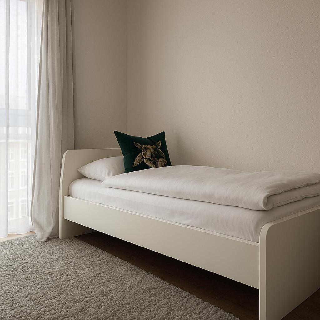 Schluessel Apartments Lahr  Εξωτερικό φωτογραφία